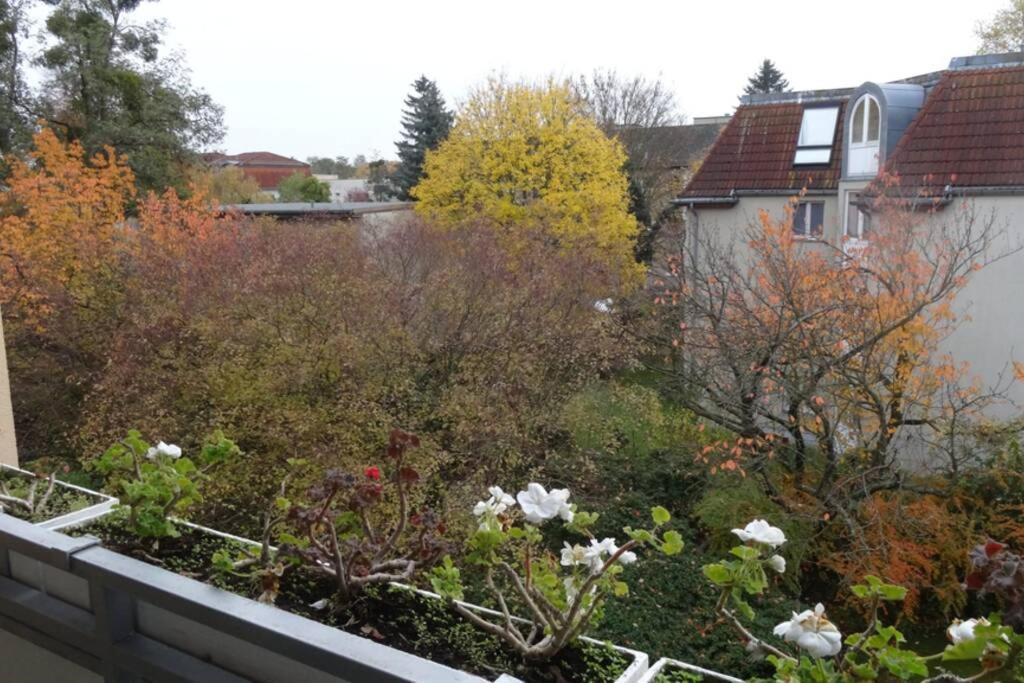 Appartamento Schoene, Ruhige In Berlin-steglitz *