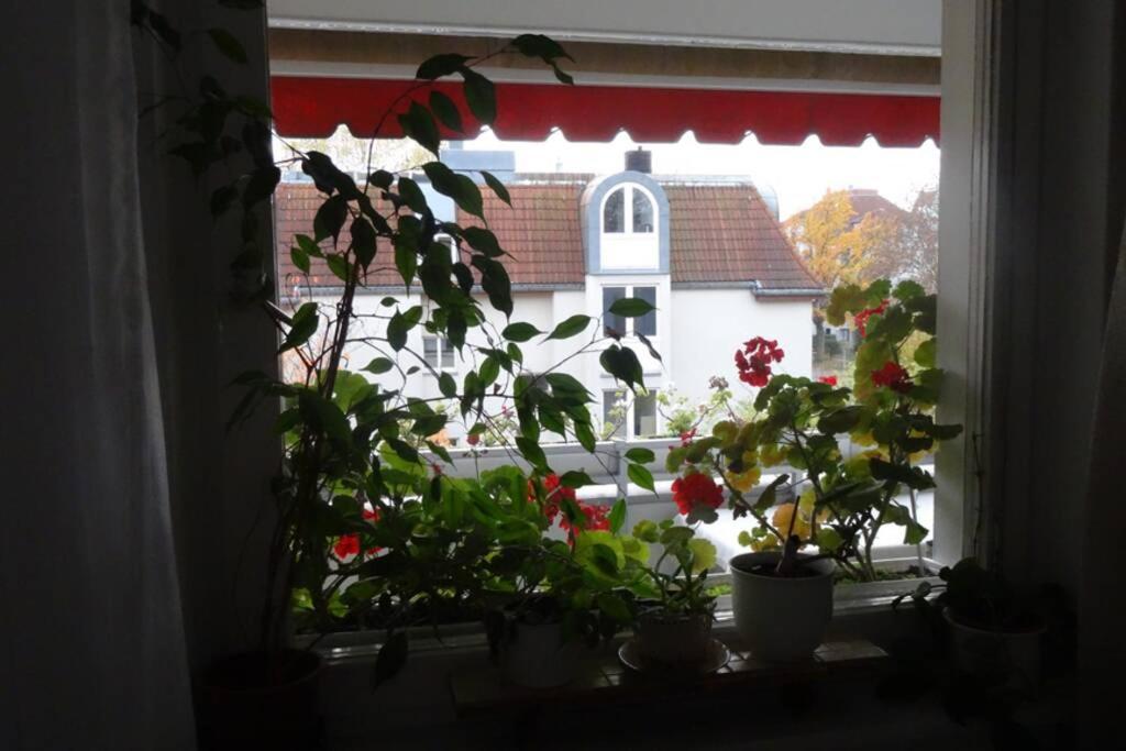 Schoene, Ruhige In Berlin-steglitz Berlino